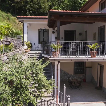 La Valle Degli Ulivi