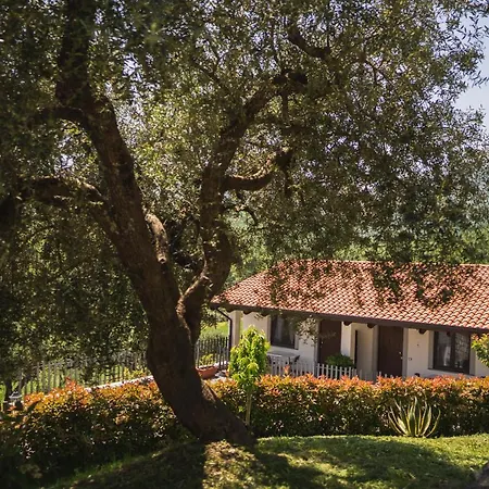 Agriturismo La Valle Degli Ulivi *