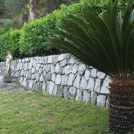 La Valle Degli Ulivi