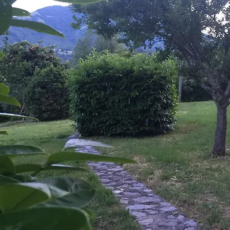 La Valle Degli Ulivi * Trecchina