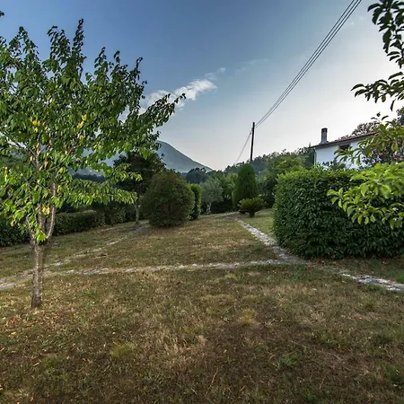 La Valle Degli Ulivi *