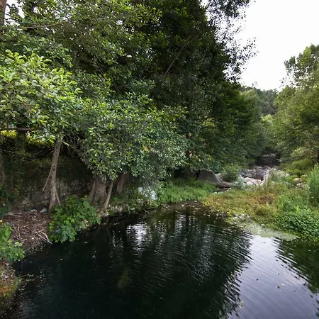 La Valle Degli Ulivi Trecchina