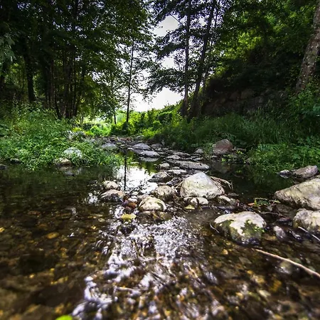 La Valle Degli Ulivi Appartement