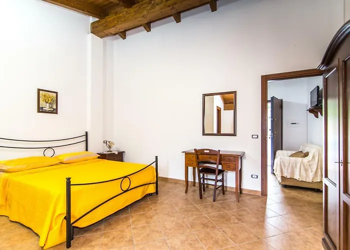 La Valle Degli Ulivi *