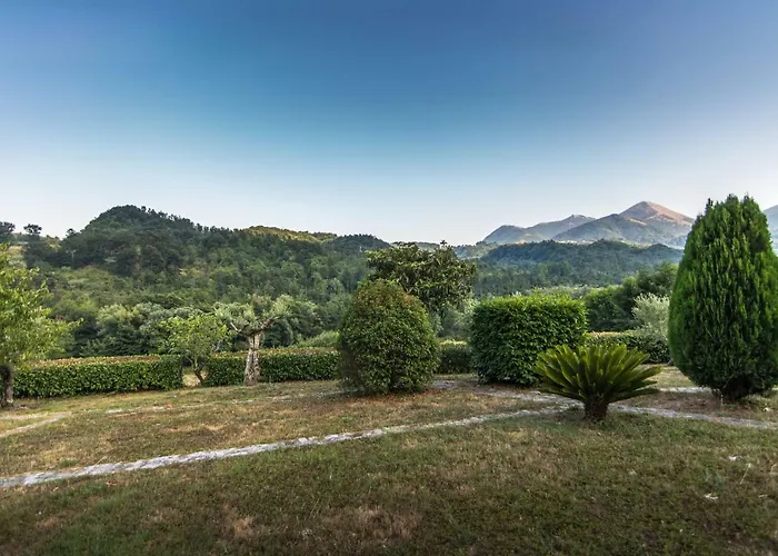 Daire La Valle Degli Ulivi *