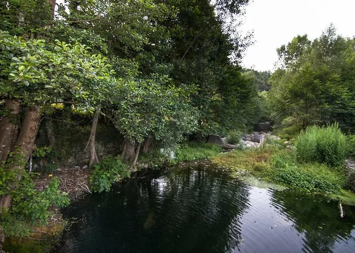 La Valle Degli Ulivi Trecchina