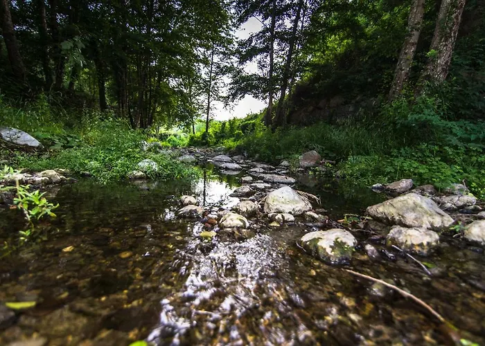La Valle Degli Ulivi Daire